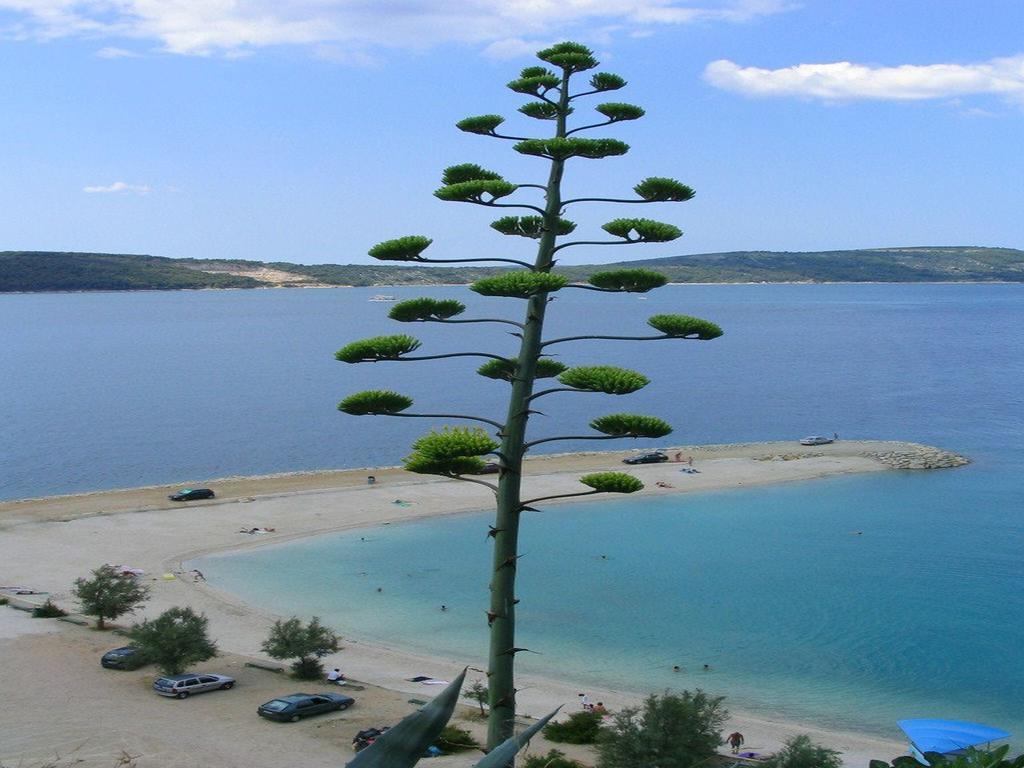 Guesthouse Marin Split Bagian luar foto